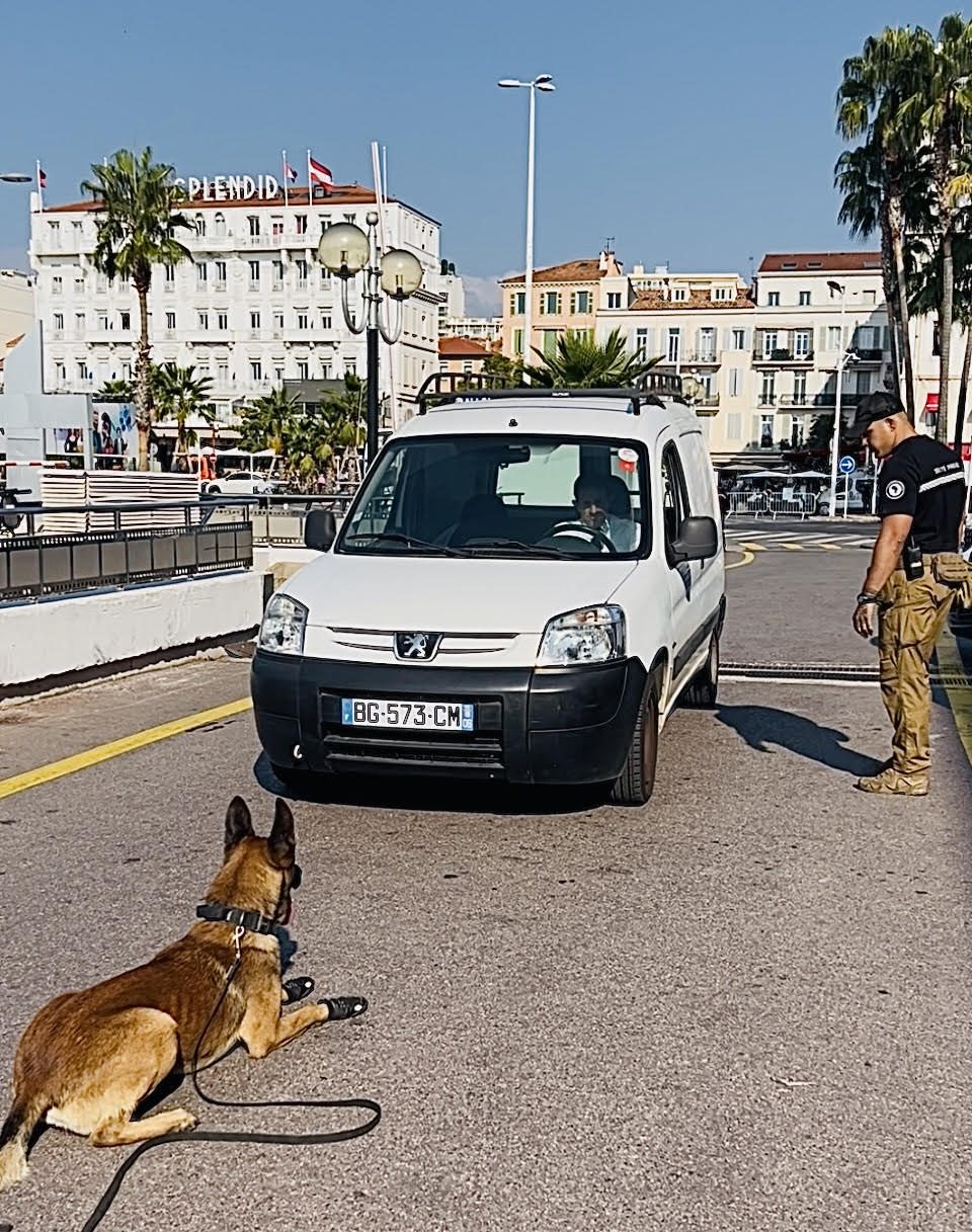 Déploiement opérationnel d'un binôme cynotechnique